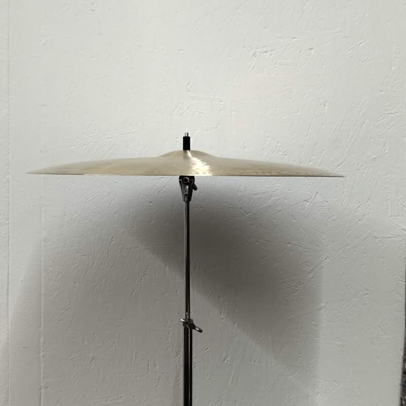 17307367663712056976078666481303